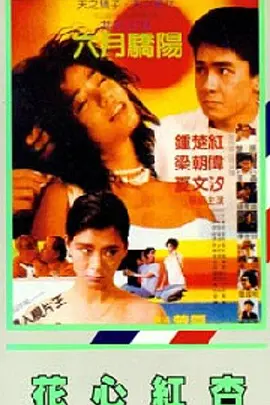 我朋友的情人